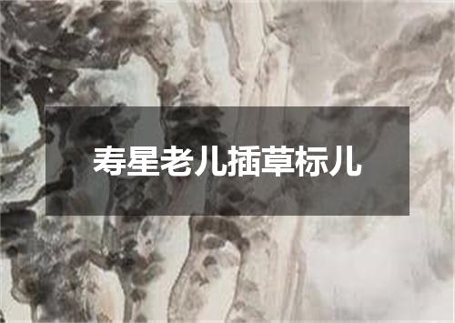 寿星老儿插草标儿