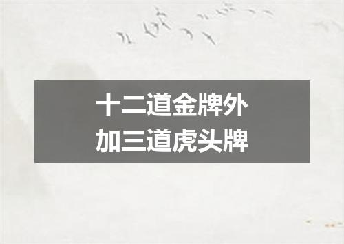 十二道金牌外加三道虎头牌
