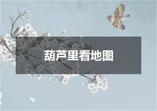 葫芦里看地图
