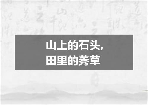 山上的石头,田里的莠草