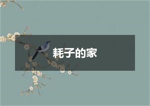 耗子的家