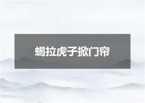 蝎拉虎子掀门帘