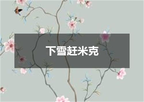 下雪赶米克
