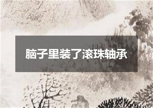 脑子里装了滚珠轴承