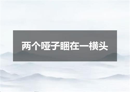 两个哑子睏在一横头