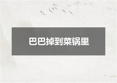 巴巴掉到菜锅里