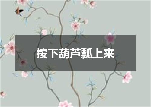按下葫芦瓢上来