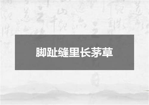 脚趾缝里长茅草
