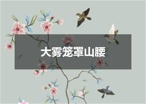 大雾笼罩山腰