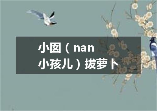小囡（nan 小孩儿）拔萝卜
