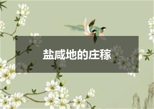 盐咸地的庄稼