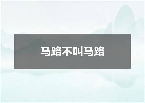 马路不叫马路