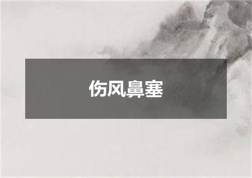 伤风鼻塞
