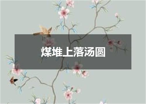 煤堆上落汤圆