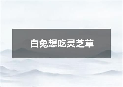 白兔想吃灵芝草