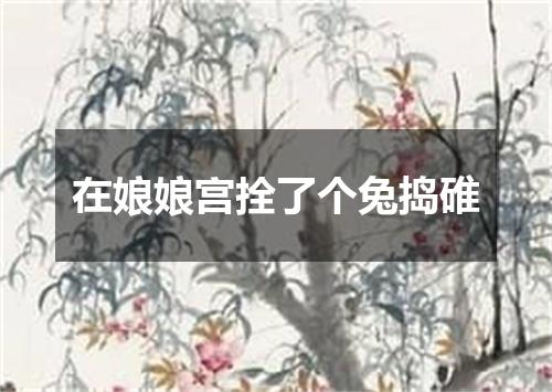 在娘娘宫拴了个兔捣碓