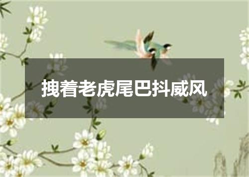 拽着老虎尾巴抖威风