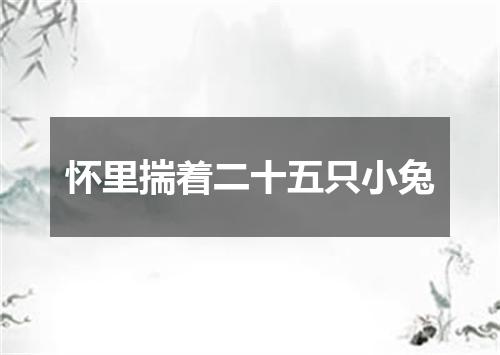 怀里揣着二十五只小兔