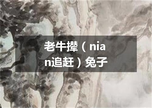 老牛撵（nian追赶）兔子