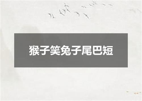 猴子笑兔子尾巴短
