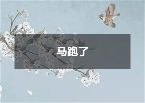 马跑了