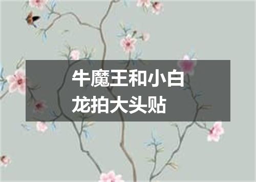 牛魔王和小白龙拍大头贴