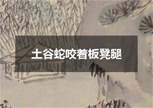 土谷蛇咬着板凳腿