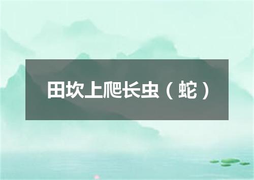 田坎上爬长虫（蛇）
