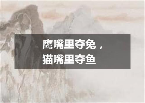 鹰嘴里夺兔，猫嘴里夺鱼