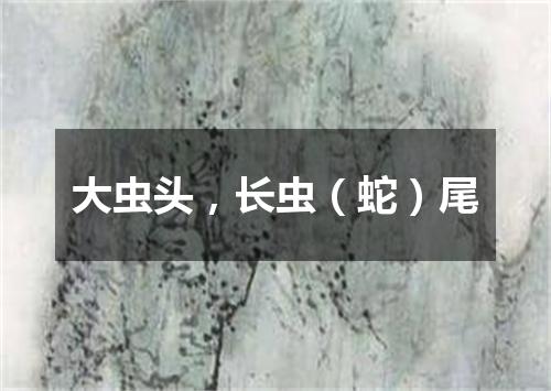 大虫头，长虫（蛇）尾