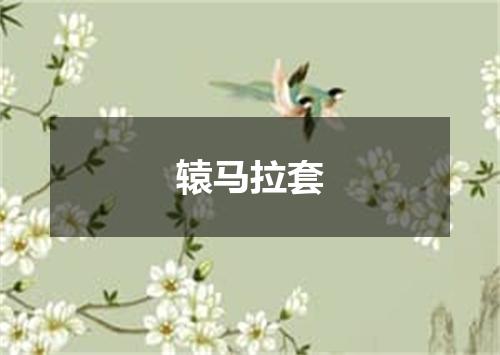 辕马拉套