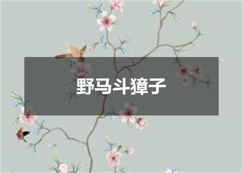 野马斗獐子
