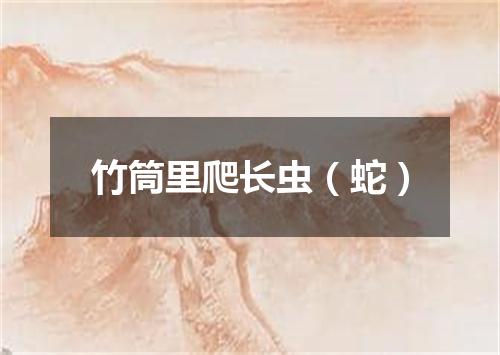 竹筒里爬长虫（蛇）