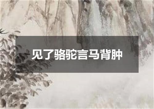 见了骆驼言马背肿