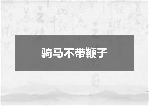 骑马不带鞭子