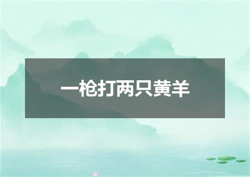 一枪打两只黄羊