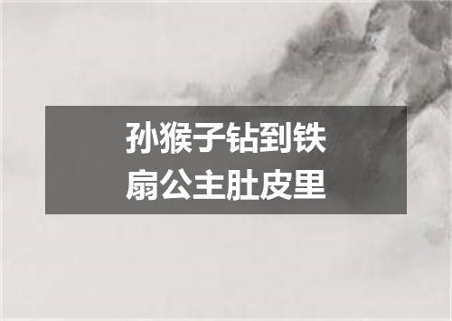 孙猴子钻到铁扇公主肚皮里