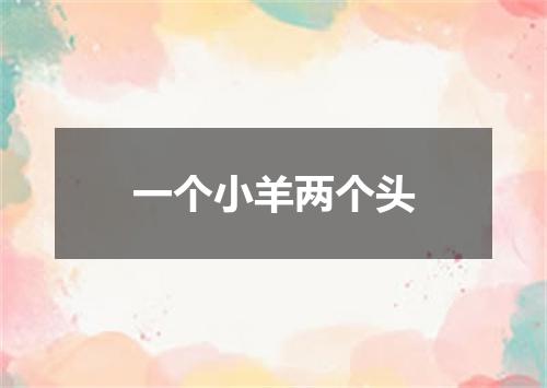 一个小羊两个头