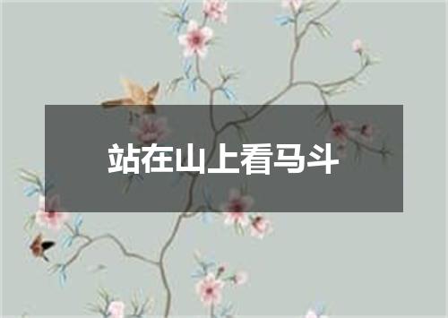 站在山上看马斗