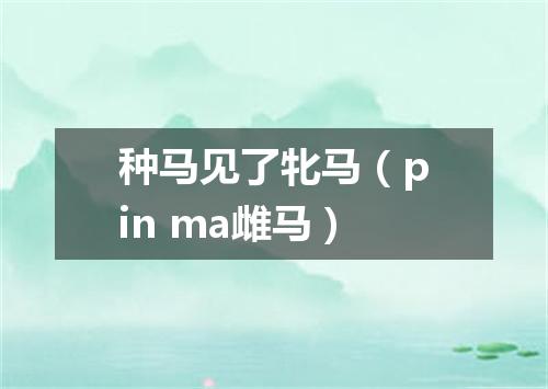 种马见了牝马（pin ma雌马）