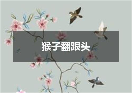 猴子翻跟头