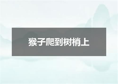 猴子爬到树梢上