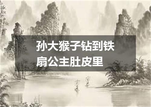 孙大猴子钻到铁扇公主肚皮里