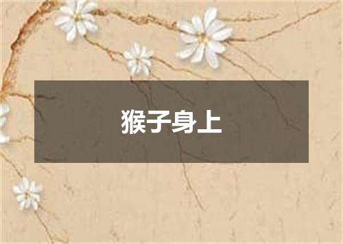 猴子身上