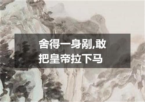 舍得一身剐,敢把皇帝拉下马