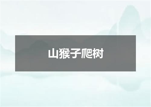山猴子爬树