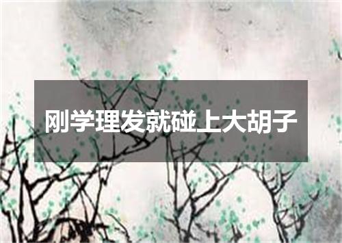 刚学理发就碰上大胡子