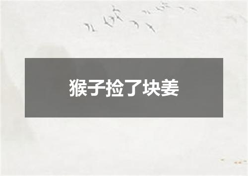 猴子捡了块姜