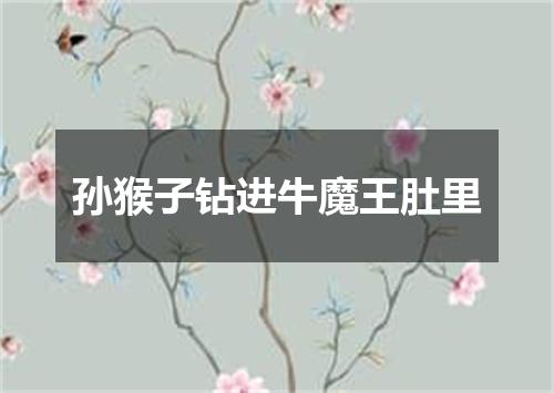 孙猴子钻进牛魔王肚里