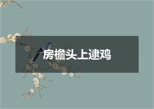房檐头上逮鸡